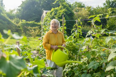 50 'li yılların mutlu 60' lı yaşlarda bahçede çiçeklerle ilgilenen teneke kutuyla sulayan bir kadın. Uluslararası Kadınlar Günü için çiçek hazırlayan kadın. Yüksek kalite fotoğraf