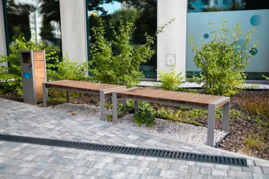 Yeşil çimenli asfalt yol, dekoratif çimenler ve modern ahşap bankların önünde kablodan yapılmış ve modern ofis binasının yakınlarındaki dinlenme alanında taşlarla doldurulmuş gabion ağaç küvetlerinin manzarası.