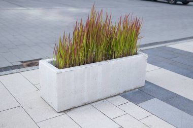 Modern ofis kompleksi, manzaralı bahçe manzaralı binalar, modern tasarım, modern bahçe manzarası. Yüksek kaliteli FullHD görüntüler