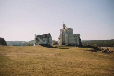 Mirow Şatosu, Polonya 'nın Silezya Voyvoda eyaletinin Krakow yakınlarındaki Mirow köyünde bulunan bir kaledir. Kartal Yuvaları Yolu 'ndaki kalelerin sonundaki kalelere ait. Yüksek kalite fotoğraf