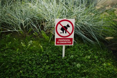 Halk parkında köpek kakası tabelası yok. Arka plan bulanık. Yüksek kalite fotoğraf