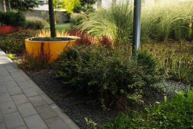 Açık havada akıllı telefon kullanan bir kadın otomatik posta kutusundan paket alıyor. Modern dağıtım teknolojileri konsepti. Yüksek kalite fotoğraf