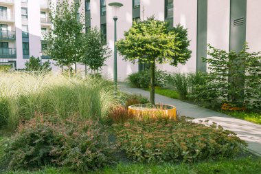 Yeşil alandaki modern konut binaları. Avrupa 'daki apartman daireleri. Polonya, Krakow 'daki emlak evlerinin güzel manzarası. Yazın iş bölgesinde. Ağaçlı ve otlu yürüyüş alanı