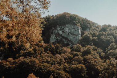 Polonya 'nın Krakow kentini gezmek, sonbaharda renkli doğa parkı, Ojcow, Ojcowskij parkı narodowy. Yüksek kalite fotoğraf