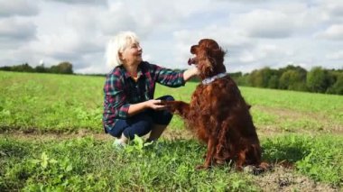 60 'ların beyaz kadın dağ tarlasında sevimli İrlandalı Setter köpeğiyle oynuyor. Güzel doğa. Gün batımı. Aile fotoğrafı. Yüksek kaliteli FullHD görüntüler