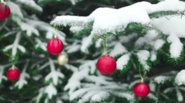 Yeni yılınız kutlu olsun Noel ağacı, aile bayramı için açık havada kar dalında sarı kırmızı cam top ile süslenmiştir. Festival havası. Noel. Yüksek kaliteli FullHD görüntüler