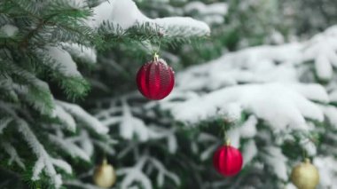 Yeni yılınız kutlu olsun Noel ağacı, aile bayramı için açık havada kar dalında sarı kırmızı cam top ile süslenmiştir. Festival havası. Noel. Yüksek kaliteli FullHD görüntüler