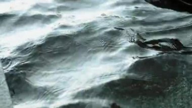 Su, ışık yansıması ile dalgalanır - sığ su yüzeyi dokusu, güneş ışığı açık mavi su üzerinde parlar... yüksek kaliteli FullHD görüntüler