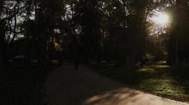 Sırt çantalı bir adam manzaralı bir yolda bisiklet sürüyor, doğanın ve yüzünde sıcak güneşin tadını çıkarıyor. Yüksek kaliteli FullHD görüntüler