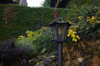 Decorative Small Solar Garden Light, Lanterns In Flower Bed In Green Foliage. Garden Design. Solar Powered Lamps In Row. High quality photo clipart