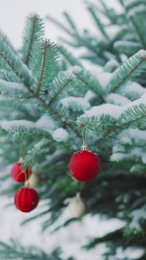 Yeni yılınız kutlu olsun Noel ağacı, aile bayramı için açık havada kar dalında sarı kırmızı cam top ile süslenmiştir. Festival havası. Noel.. 