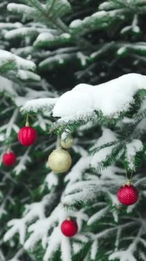 Yeni yılınız kutlu olsun Noel ağacı, aile bayramı için açık havada kar dalında sarı kırmızı cam top ile süslenmiştir. Festival havası. Noel.. 