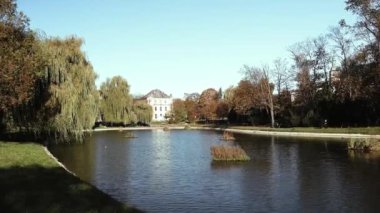 Kielce Park göl suyu yeşili. Yüksek kaliteli FullHD görüntüler