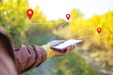 Yürüyüşçülerin yakın çekimleri, ormandaki rotalarını bulmak için akıllı telefondan GPS navigasyon uygulaması kullanıyorlar. Yüksek kalite fotoğraf
