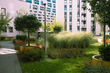 Çevresel ve sürdürülebilir yeşil konut binaları, apartmanları ve yeşil avlusu olan düşük enerjili evler