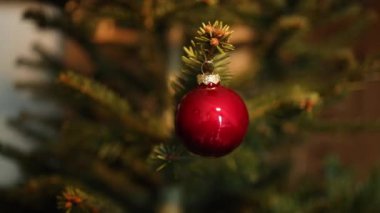 Mutlu yıllar 2025 temalı Noel ağacı dalında kırmızı ve altın toplar süslenmiş güzel ışıklar arka planında. Seçici odak