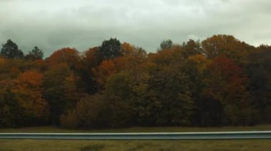 Sonbahar renk ormanlarında mavi gökyüzüne karşı manzaralı kır yolu. Polonya, Tatry