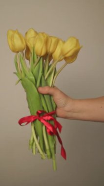Kafkasyalı mutlu kadın evde dinlenirken bir sürü sarı lale kokluyor. Anneler Günü. İlkbahar. Yüksek kaliteli FullHD görüntüler