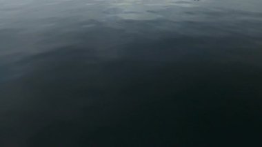 Arka planda küçük dalgalar olan mavi okyanus, deniz yüzeyi manzaralı. Yüksek kaliteli FullHD görüntüler