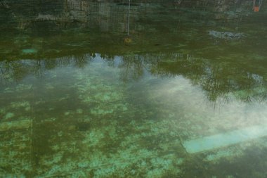 Kirli yeşil suyu olan bir yüzme havuzu. Yüksek kalite fotoğraf