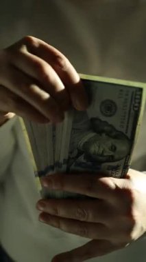 Para sayan kadın, ekonomi konsepti, para tahsisi. Yüksek kaliteli FullHD görüntüler