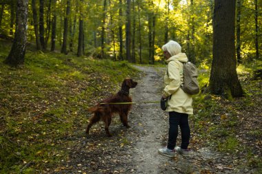 Park ormanında köpeğini gezdiren kadın ayakları. seyahat konsepti. Geniş çekim yavaş çekim görüntüleri. Yüksek kaliteli FullHD görüntüler