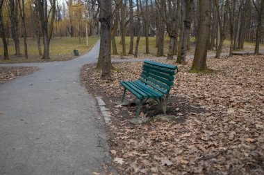 Sonbahar yapraklarıyla kaplı bir yürüyüş yolu boyunca yerleştirilmiş yalnız yeşil bir park bankı. Bu huzurlu ortam, ağaçların yapraklarını sessiz bir park atmosferine saçmasıyla sonbaharın güzelliğini yakalıyor.