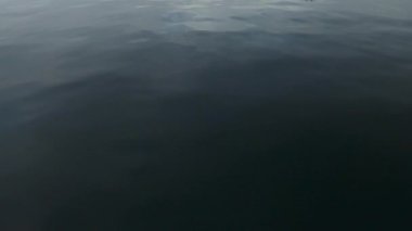 Arka planda küçük dalgalar olan mavi okyanus, deniz yüzeyi manzaralı. Yüksek kaliteli FullHD görüntüler