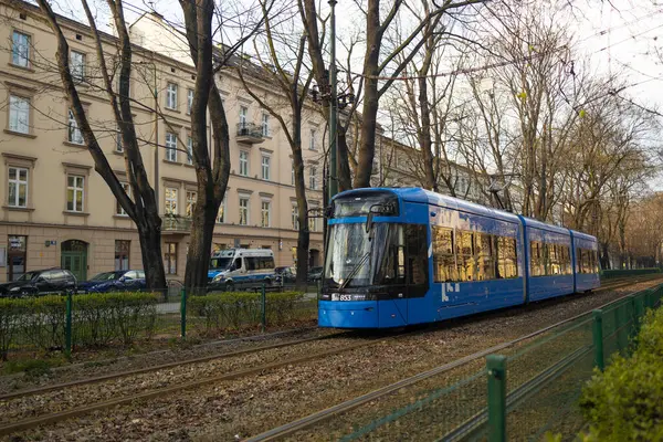 Krakow, Polonya - 26 Mart 2025: Mavi tramvay rayların her iki tarafında da çıplak ağaçlar olan bir şehir caddesinde ilerliyor. Görüntü, sonbahar veya kış mevsiminde kentsel bir sahne sergiliyor.