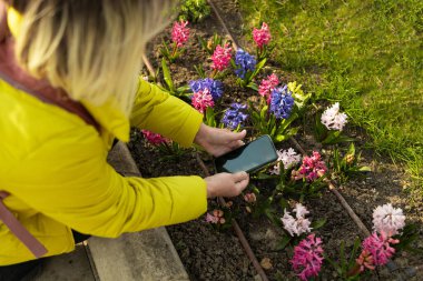 Sarı ceketli bir kadın, bir bahar bahçesinde akıllı telefonunu kullanarak canlı çiçeklerin fotoğrafını çekiyor. Görüntü doğanın güzelliğini ve anıları yakalamanın neşesini yakalar..