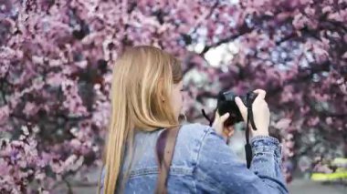 Bir kadın parkta durmuş, DSLR kamerasıyla güzel pembe kiraz çiçeklerinin çiçeklerini çekiyor. İlkbaharda güzelliği yakalıyor, açık havada fotoğraf çekmekten hoşlanıyor..