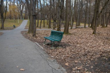 Sonbahar yapraklarıyla kaplı bir yürüyüş yolu boyunca yerleştirilmiş yalnız yeşil bir park bankı. Bu huzurlu ortam, ağaçların yapraklarını sessiz bir park atmosferine saçmasıyla sonbaharın güzelliğini yakalıyor.