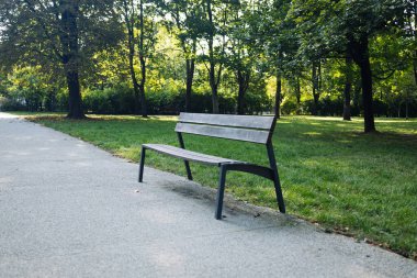 Huzurlu bir şehir parkında kaldırımlı bir yolun yanına yerleştirilmiş basit ahşap ve metal bir bank. Yeşil çimenler ve yaprakların arasından süzülen sabah güneşiyle çevrili ağaçlarla çevrili. Sakin açık hava sahnesi