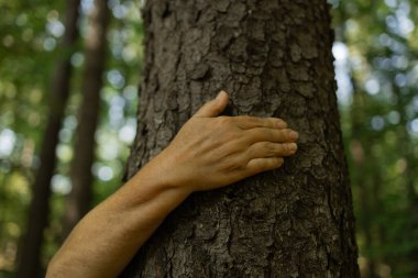 Huzurlu bir ormandaki ağaç gövdesine nazikçe yerleştirilmiş bir insan eli. Basit, sembolik bir eylem. Doğaya saygı, orman korunması ve çevreyle duyarlı etkileşimi ifade ediyor..