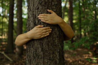 Bir çift insan kolu ormanda bir ağaç gövdesine nazikçe sarılır. Görüntü, doğaya olan sevgiyi, çevresel farkındalığı ve sürdürülebilir ve bilinçli yaşam yoluyla Dünya ile olan bağlantıyı sembolize eder.