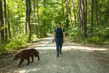 Aktif kıyafetli bir kadın, parlak güneş ışığı altında geniş bir orman yolunda İrlanda Setter 'ı ile birlikte yürüyor. Görüntü özgürlüğü, doğayla bağlantıyı ve dışarıyı evcil bir hayvanla keşfetmenin neşesini aktarıyor..