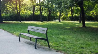 Bereketli yeşillik ve güneş ışığıyla çevrili tenha bir park bankında huzuru keşfetmek. Yüksek kalite 4k görüntü