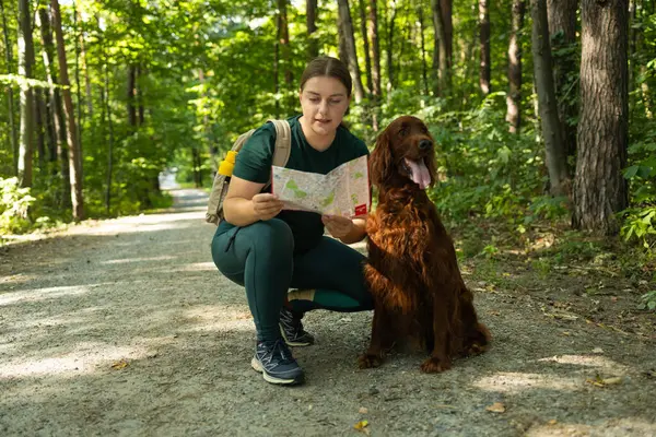 Neşeli bir kadın elinde bir harita tutarken ve orman yolunu işaret ederken İrlandalı Setter köpeğinin yanında diz çöker. Heyecanı, keşfi ve doğada bir evcil hayvanla paylaşılan macerayı yakaladığı an.
