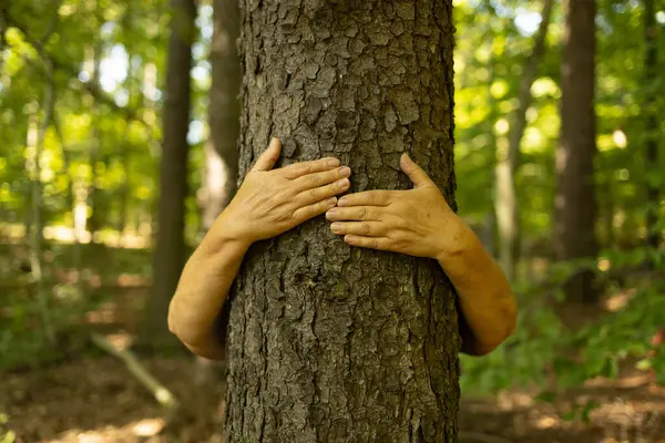 Güneşli bir ormanda, kollarını bir ağaç gövdesine dolayıp doğaya olan sevgiyi, çevresel farkındalığı ve insanlar ile doğal dünya arasındaki duygusal bağı sembolize eder..