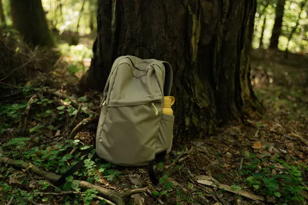 Açık renkli bir sırt çantası ve sarı bir şişe gölgeli bir ormandaki büyük bir ağacın dibine yerleştirilir. Sahne bir yürüyüş molası, açık hava keşfi ve doğa ile bir bağlantı öneriyor.