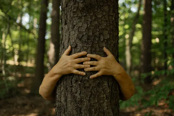 Huzurlu bir ormanda parmakları açık bir ağaç gövdesini kucaklayan bir insan. Bu jest, derin özeni, çevresel bilinci ve doğal dünyayla sembolik bir bağlantıyı yansıtıyor.