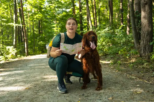 Neşeli bir kadın elinde bir harita tutarken ve orman yolunu işaret ederken İrlandalı Setter köpeğinin yanında diz çöker. Heyecanı, keşfi ve doğada bir evcil hayvanla paylaşılan macerayı yakaladığı an.