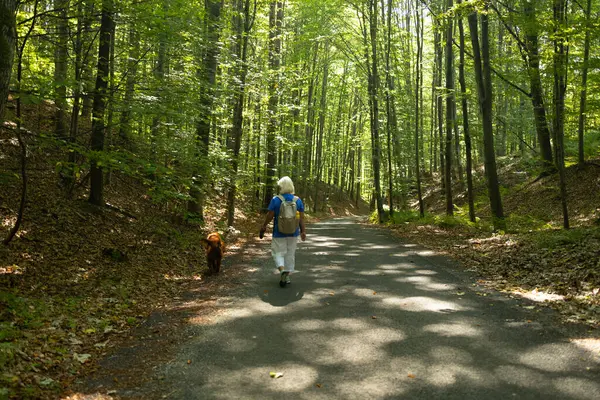 Yaşlı bir kadın, gür ağaçlar ve güneş ışığıyla çevrili sessiz bir orman yolunda İrlandalı Setter 'iyle yürüyor. Görüntü açık hava aktivitesini, arkadaşlığı ve içeri girmenin sağlığa faydalarını yansıtıyor.