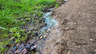 Yeşil bir orman bölgesindeki çamurlu ve kayalık topraktan akan küçük bir dereye yakın çekim. Su, çimen ve çakıl taşları arasında yavaşça akar ve doğanın huzurlu güzelliğini yakalar..