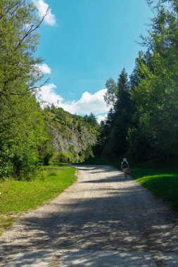 Mavi gökyüzünün altındaki yeşil bir dağ vadisinde çakıllı bir patikada bisiklet süren birinin dikey fotoğrafı. Ağaçlar, kayalıklar ve çimlerle çevrili açık hava aktivitesi için ideal bir yer.