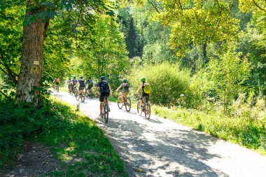 Bir grup bisikletçi, yemyeşil yemyeşil ile çevrili güneşli bir orman yolu boyunca birlikte yol alır. Sürücüler açık hava macerasının tadını çıkarıyorlar, aktif yaşam tarzı, takım çalışması ve...