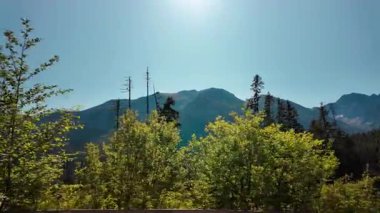 Dağlarda güneşli bir gün ve sık orman bitkileri manzarası var. Arka plan yeşil yaprakları ön plana çıkarırken arka plandaki uzak tepeler sakin doğal bir manzara yaratıyor.