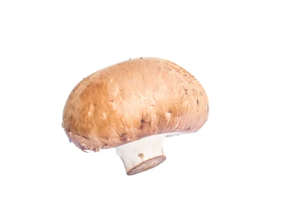 Close Champignon Mushroom Isolated White Background — Stock Photo, Image