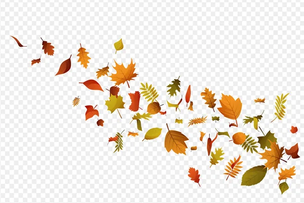 Осенние Листья Падают Оставляет Воздух Летят Осенние Листья Волна Падающих — стоковый вектор