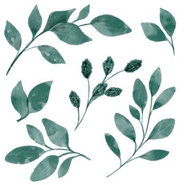 Suluboya Yaprakları Yeşil. Düğün Daveti için uygun beyaz arkaplan üzerinde izole edilmiş kolleksiyon botanik vektörü